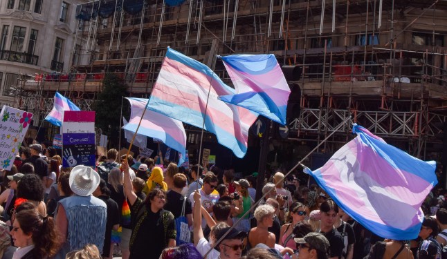 Participants pass through Regent Street with trans pride