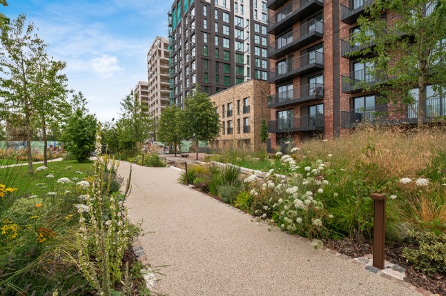 West Acre Sq Picture: southern housing