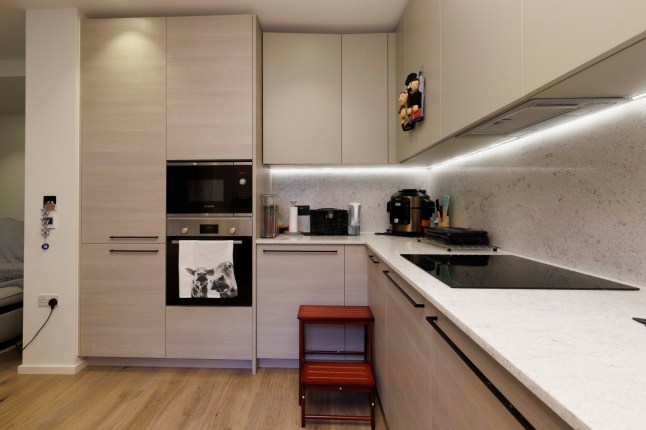 What I Own - Poplar. Nitish Kumar. Pictured: kitchen. Image shot on 4th April 2025. ?? Belinda Jiao jiao.bilin@gmail.com 07598931257 https://www.belindajiao.com/about