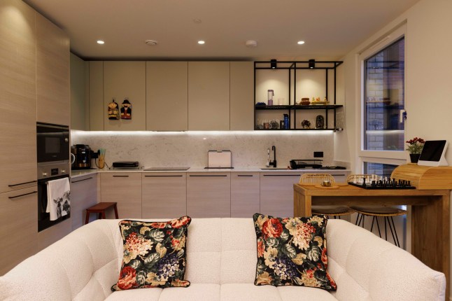 What I Own - Poplar. Nitish Kumar. Pictured: Living room. Image shot on 4th April 2025. ?? Belinda Jiao jiao.bilin@gmail.com 07598931257 https://www.belindajiao.com/about