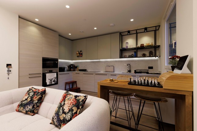 What I Own - Poplar. Nitish Kumar. Pictured: Living room. Image shot on 4th April 2025. ?? Belinda Jiao jiao.bilin@gmail.com 07598931257 https://www.belindajiao.com/about
