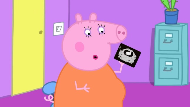 Mummy pig pregnant