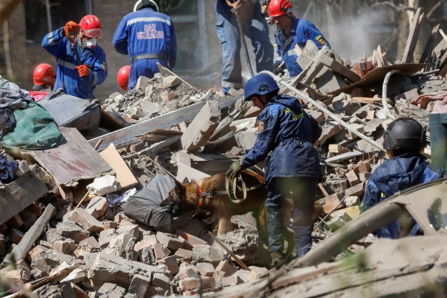 Rescuers with a service dog look for residents, who could still be under rubber of a destroyed residential building, which was hit during a Russian missile strike, amid Russia's attack on Ukraine, in Kyiv, Ukraine April 24, 2025. REUTERS/Alina Smutko