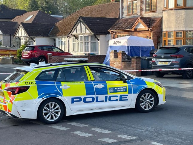 Neighbours heard 'agressive shouting' before man was stabbed and dies on drive in west London- Allerman Ave Twickenham